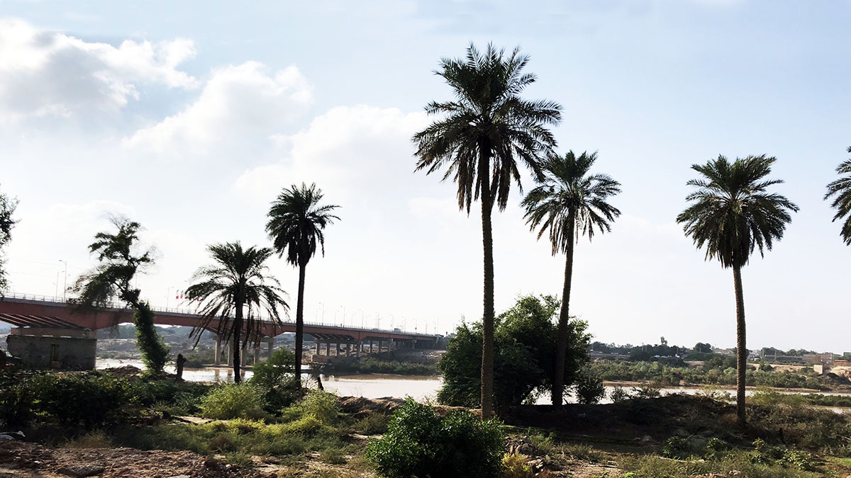 Ahvaz Sixth Bridge