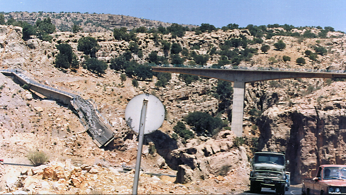 DarrehNargessi Bridge