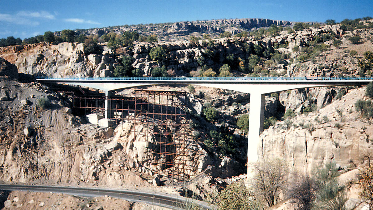 DarrehNargessi Bridge